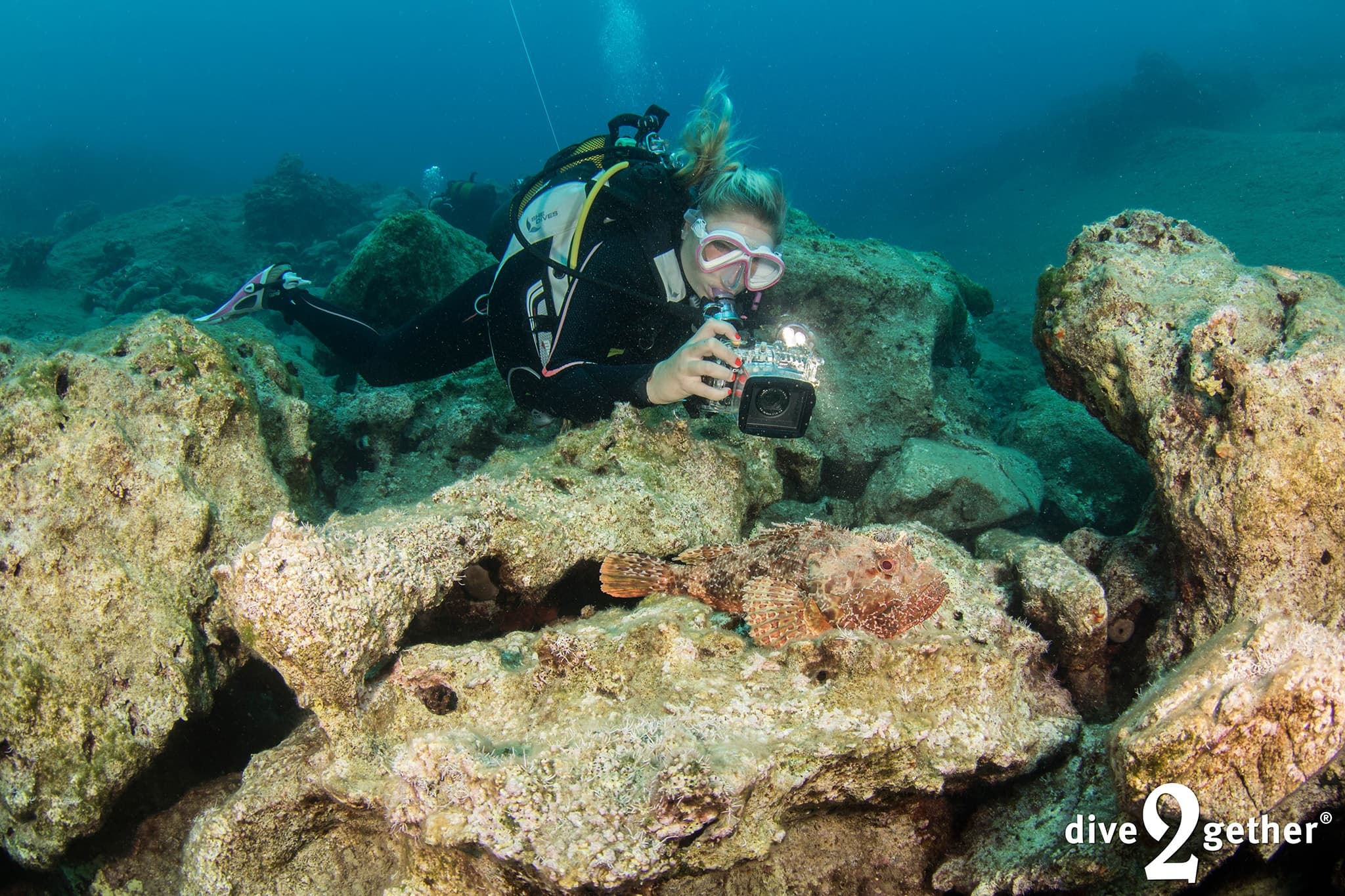 PADI Digital Underwater Photographer Course in Plakias — Dive2gether Crete photo 2