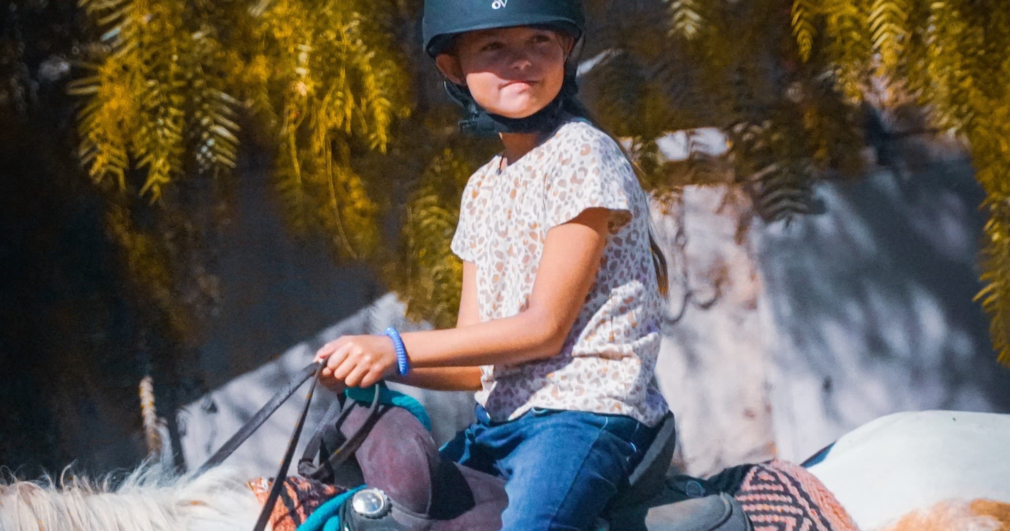 Vin Hesten Trail Rides team