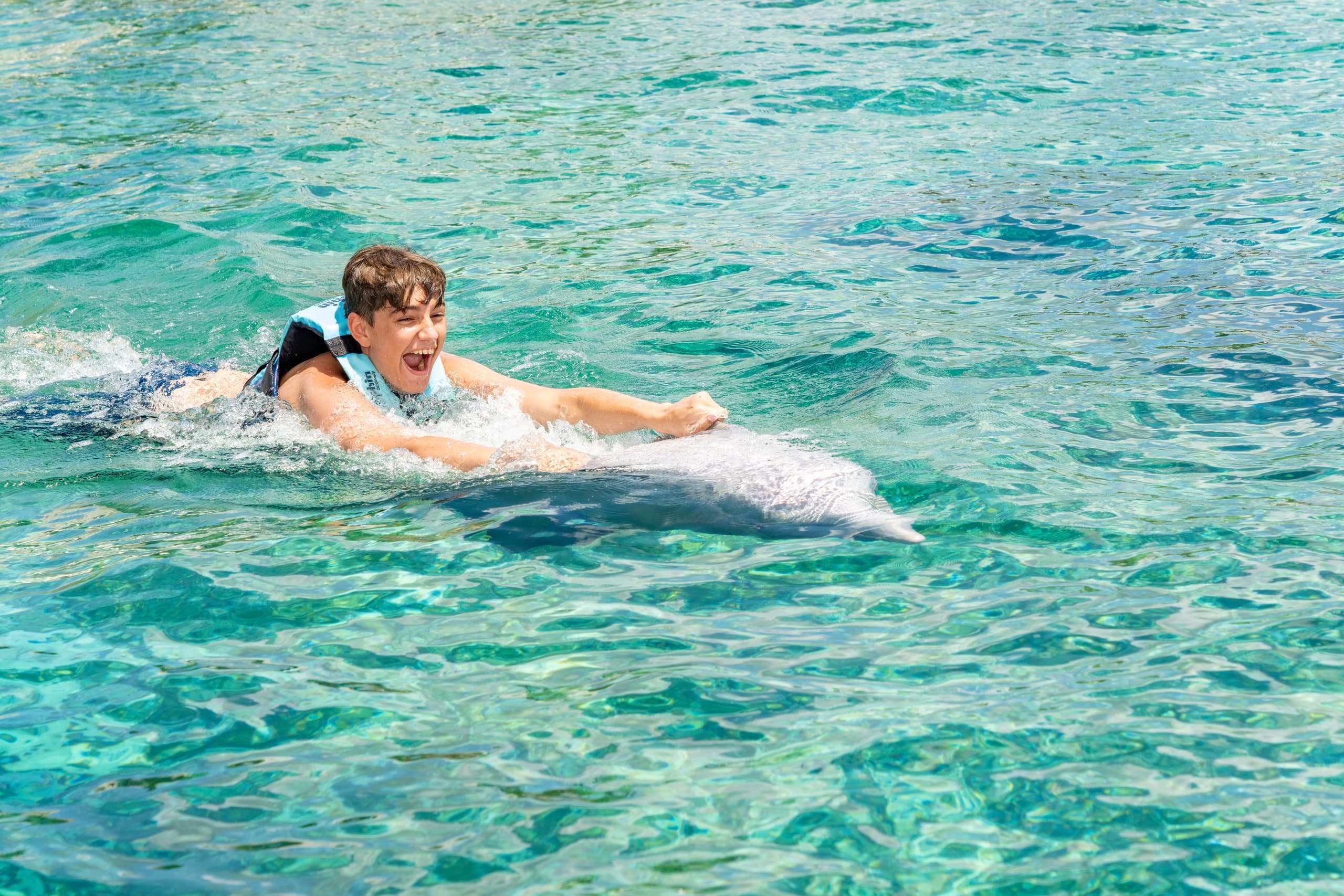 Dive Into Magic: Dolphin Swim Adventure at Cozumel’s Chankanaab National Park