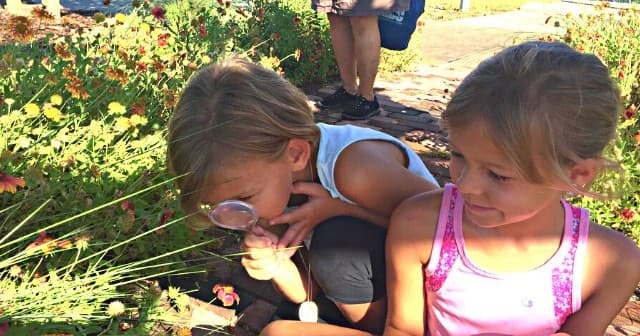 Marine Education & Adventure at Marine Discovery Center