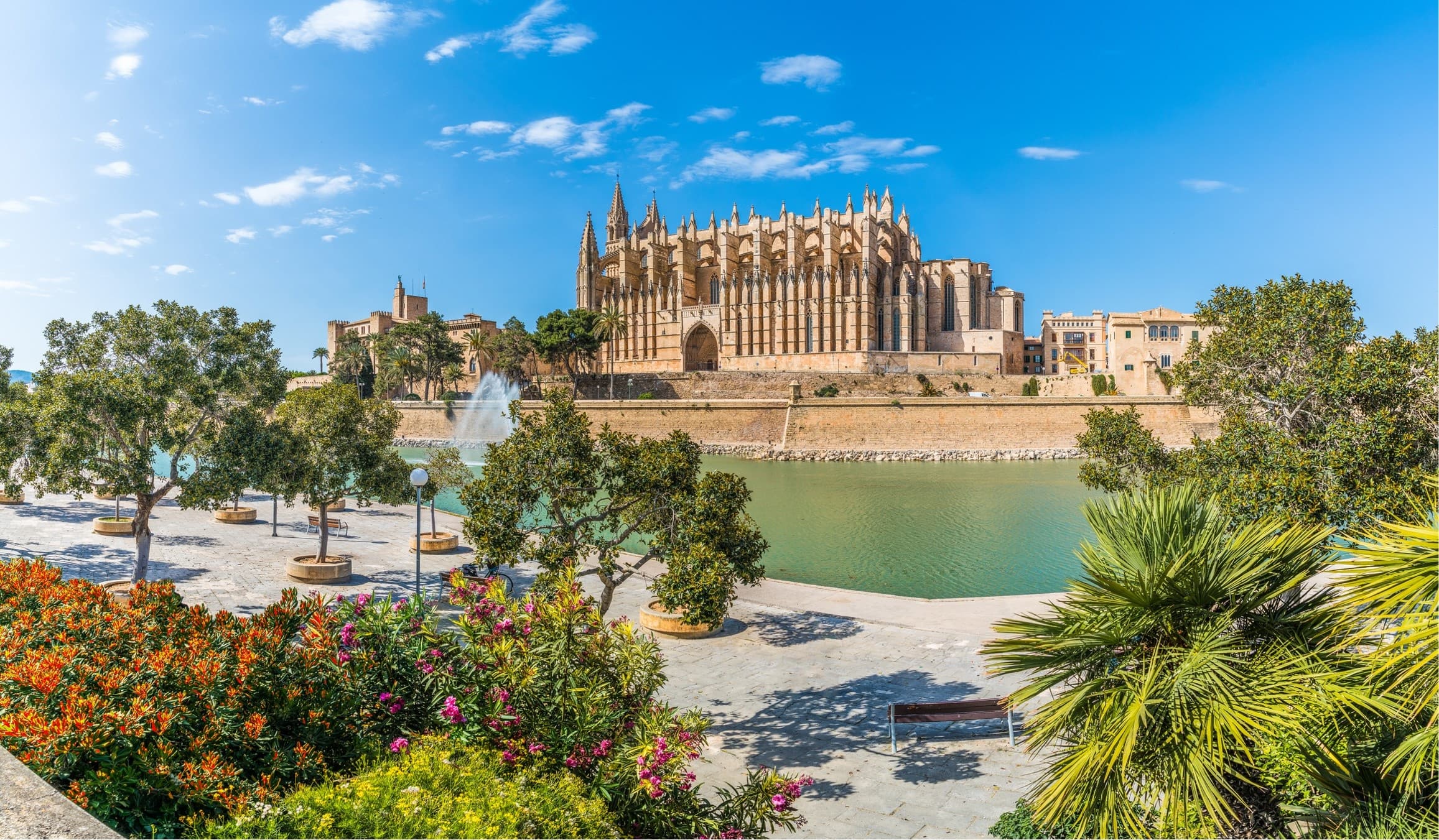 Discover Palma de Mallorca: Guided Walking Tour with Cathedral Access