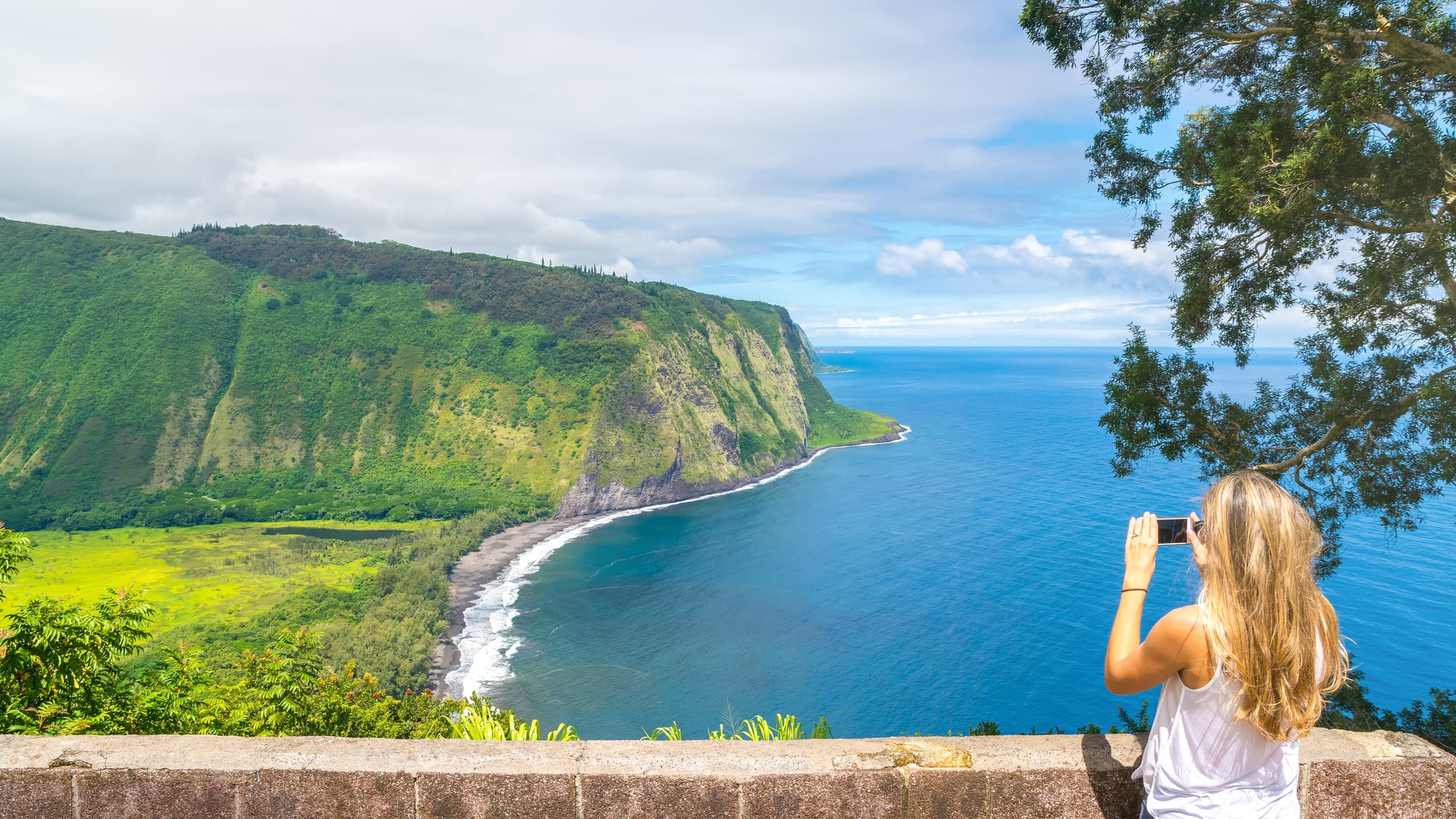 Big Island Private Tours from Kona: Custom Volcano, Coffee & Black Sand Beach Day Trip