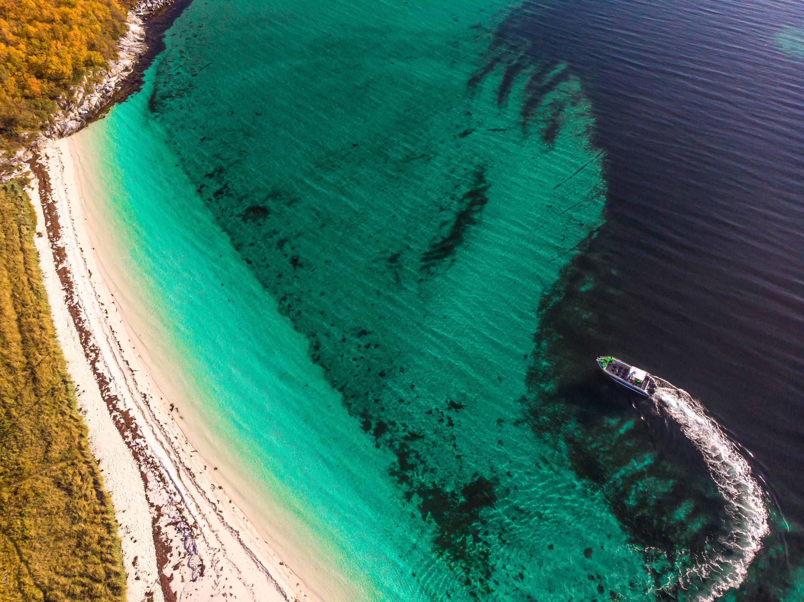 Water Activities & Wildlife Safari at Hamn i Senja