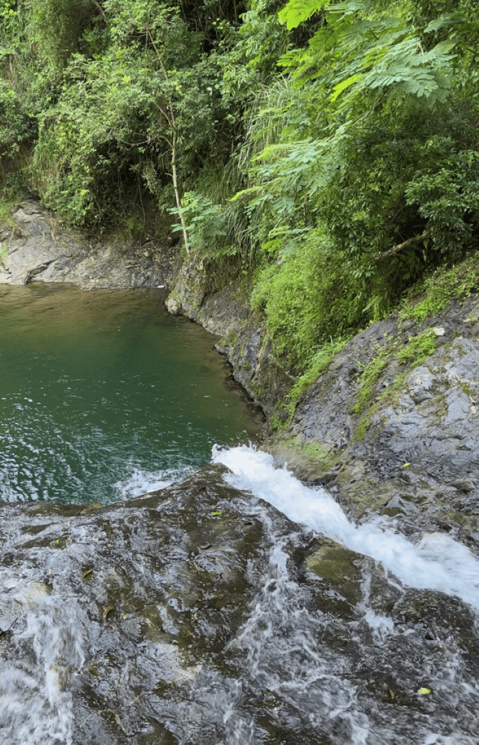 Salto de Pilar Cliff Jumping with Jerrys Adventures Puerto Rico