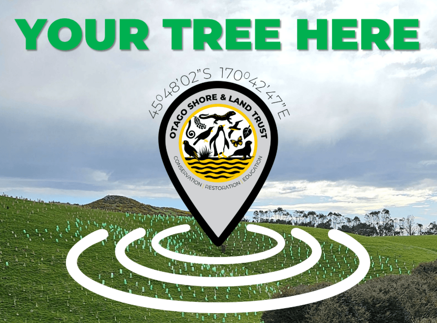 Reforestation map marker over farmland showing tree-planting