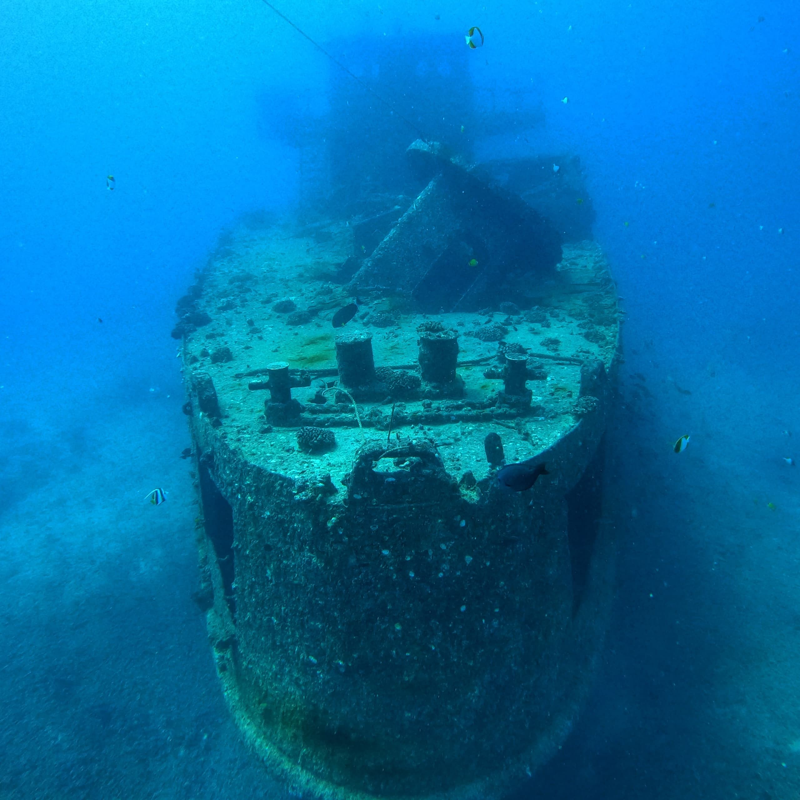 Wreck & Reef Tour in Honolulu: Dive Hawaii's Underwater Wonders