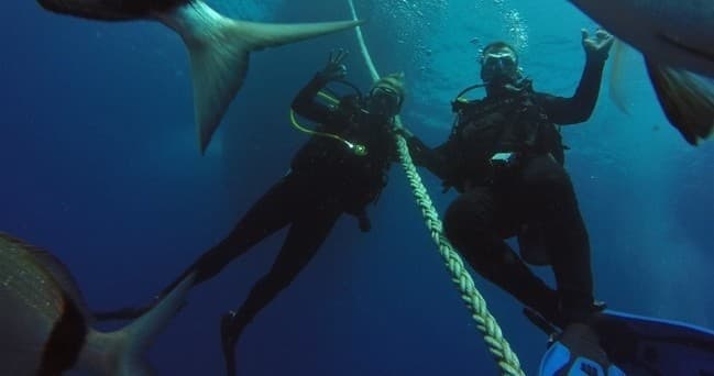 Scuba Diving Adventure at Taba Diving Centre in Egypt