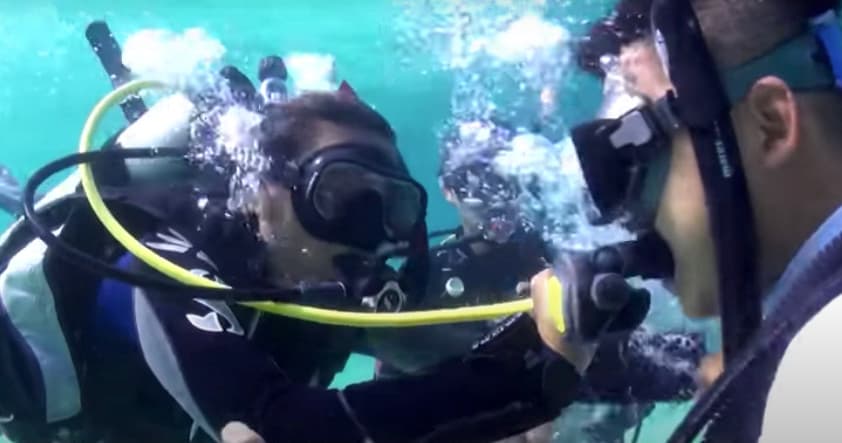 PADI Rescue Diver Course with Boutique Cruises in Fremantle