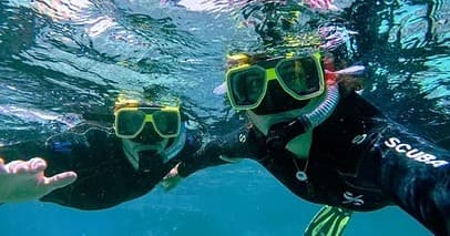 Private Turtle Snorkel & Dolphin Tour in Waimea, Hawaii