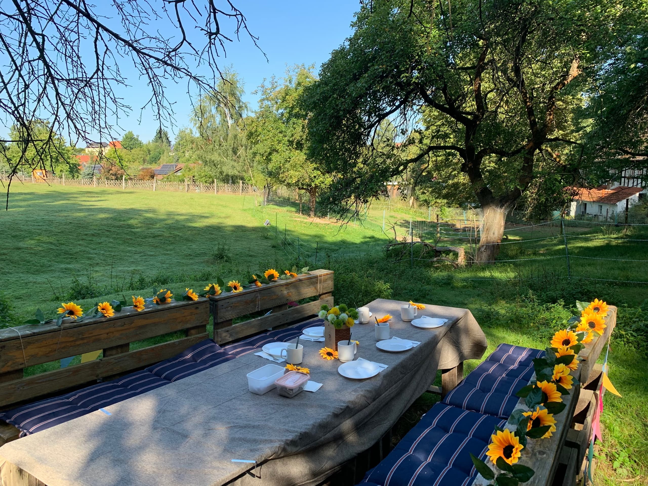 Farm Birthday Parties with Llamas and Alpacas at Lindengut, Schönau-Berzdorf photo 2