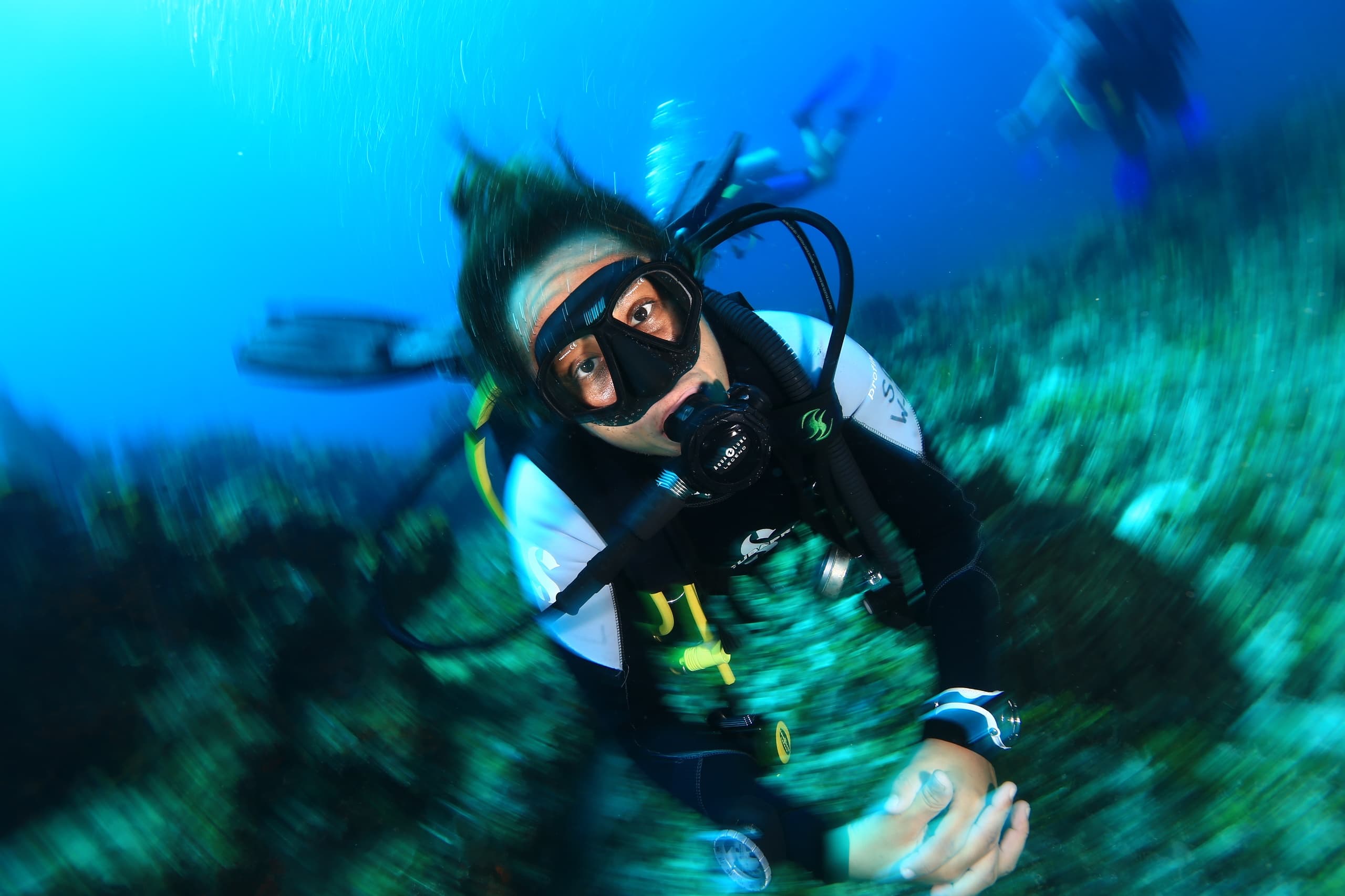 Deep Life’s Barracuda Dive Package in Cancun, Mexico