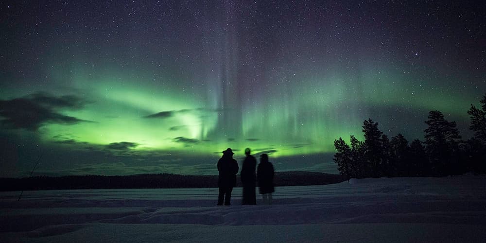 Kiruna Airport Sleddog Pickup: Arctic Adventure Starts at Lapland’s Doorstep