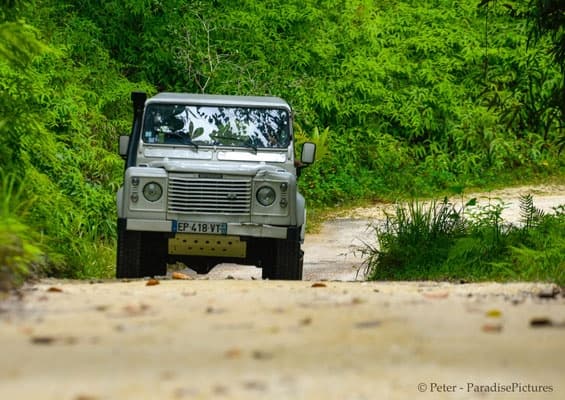 Botanical Road Trip in Guadeloupe with Pelican Safari Tour