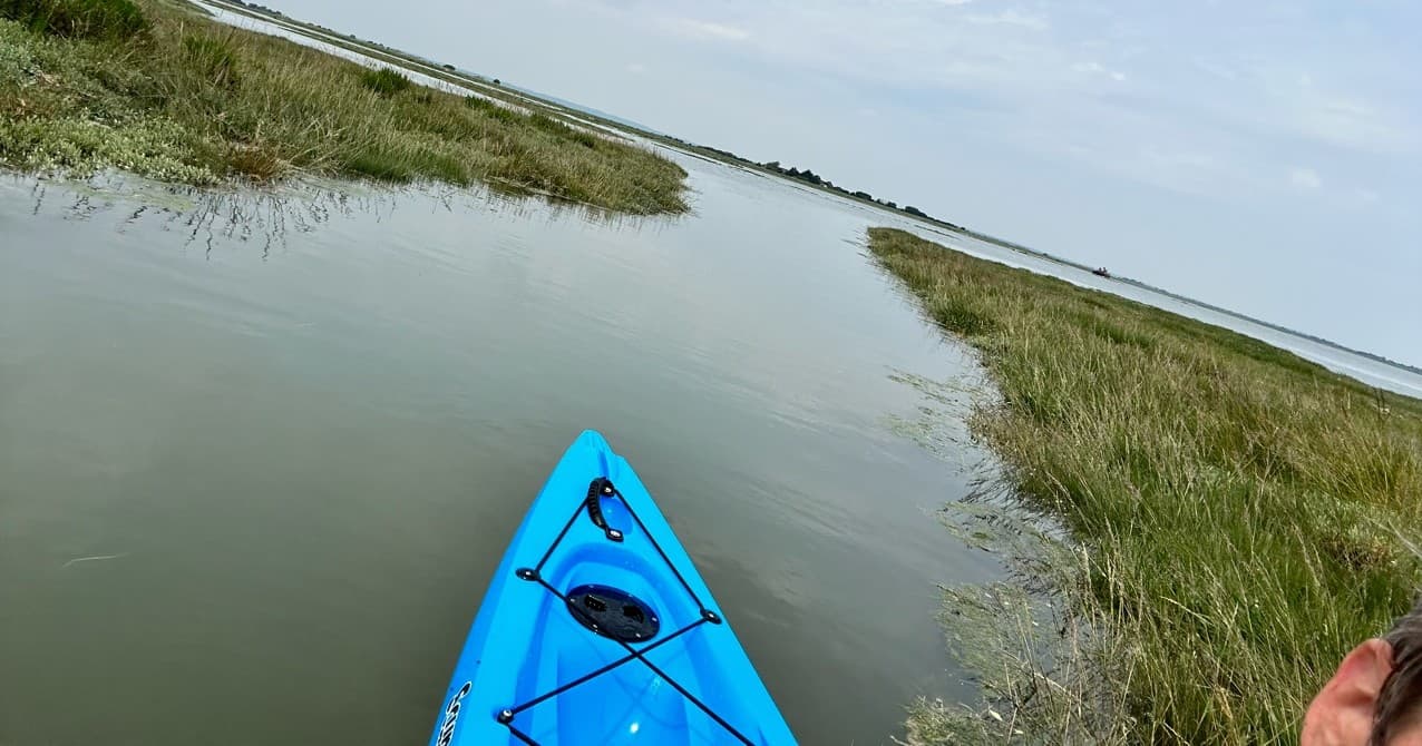 Kayak Adventure with Blackwater Watersports in Maylandsea