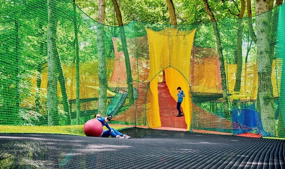 Explore Lake Placid's Unique Net Park Adventure