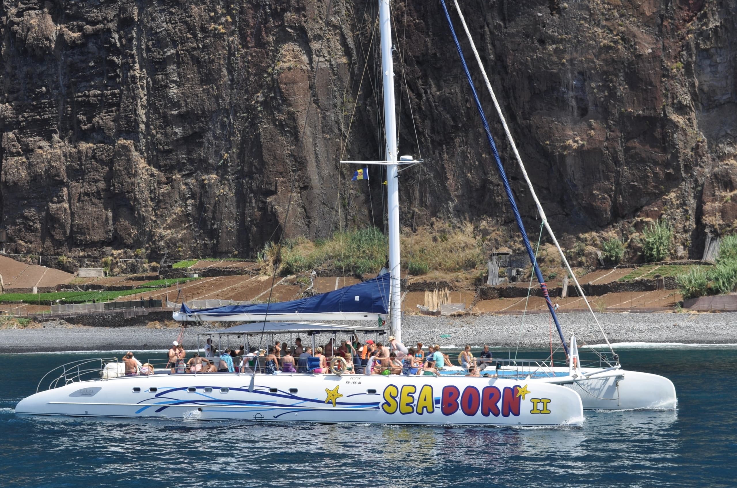Seaborn catamaran fleet