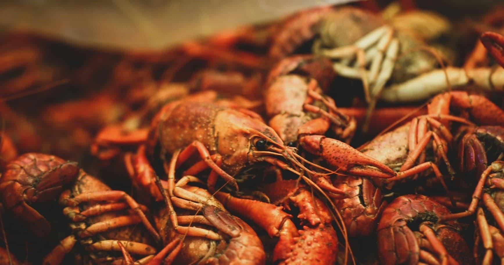 Choptank River Crawfish Boil Cruise: A Flavorful June Adventure in Denton, Maryland