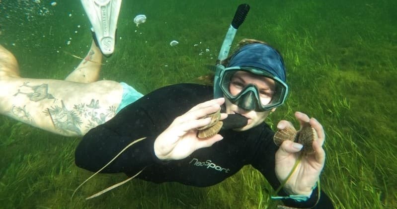 Scalloping Adventure in Crystal River: Gulf Snorkel & Bay Scallops