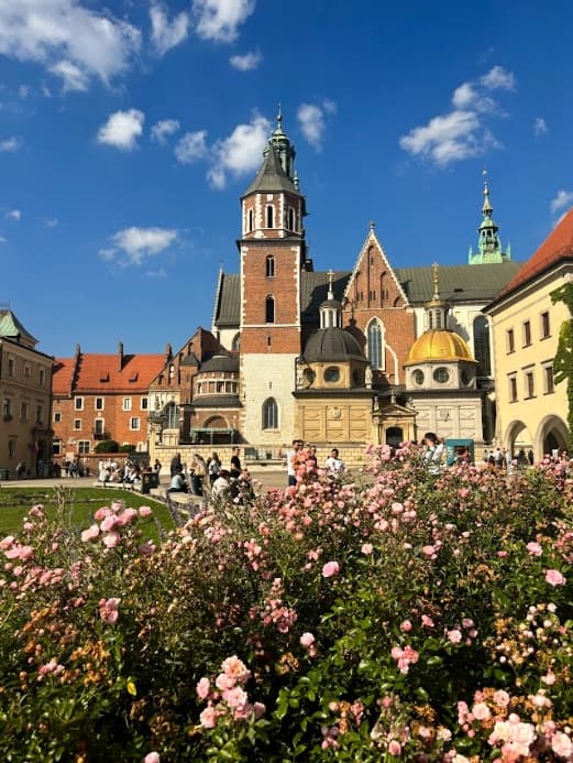 Historical Wawel Cathedral & Castle Tour with AT Cracow in Krakow