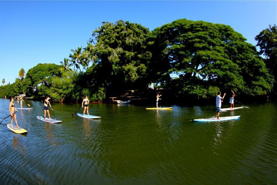 SUP Rental (All Day) | SUP in Haleiwa, Hawaii
