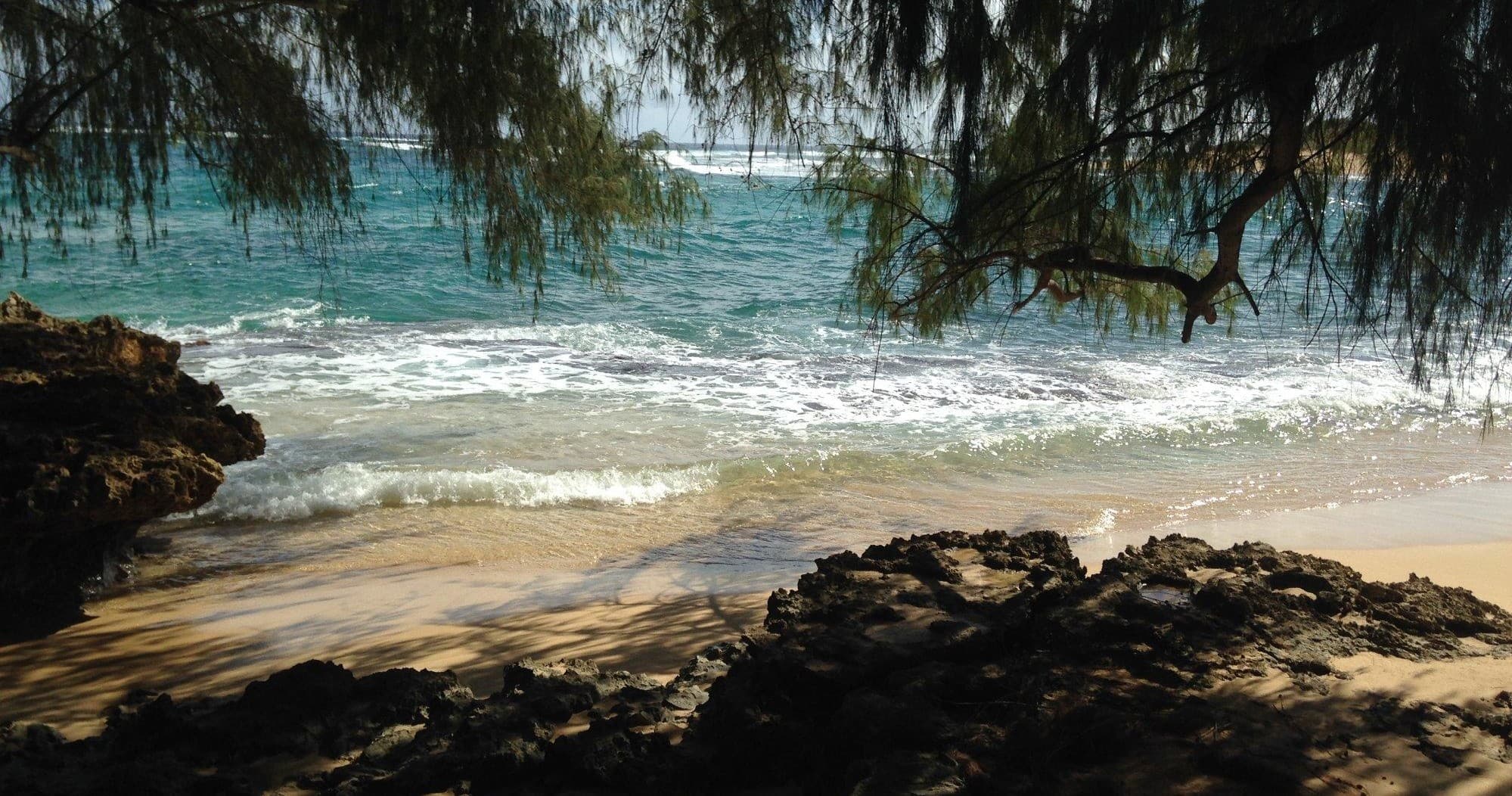 Secluded Kauai beach with waves and shaded shoreline for relaxing
