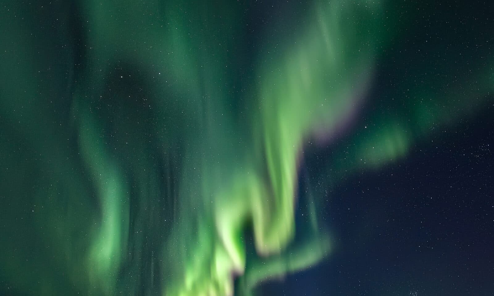 Northern lights dancing over snowy taiga landscape at night