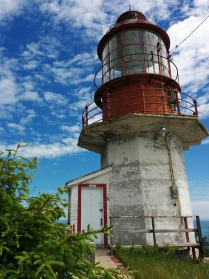 Aerial View & Whale Spotting with Héli-Charlevoix in Baie-St-Paul