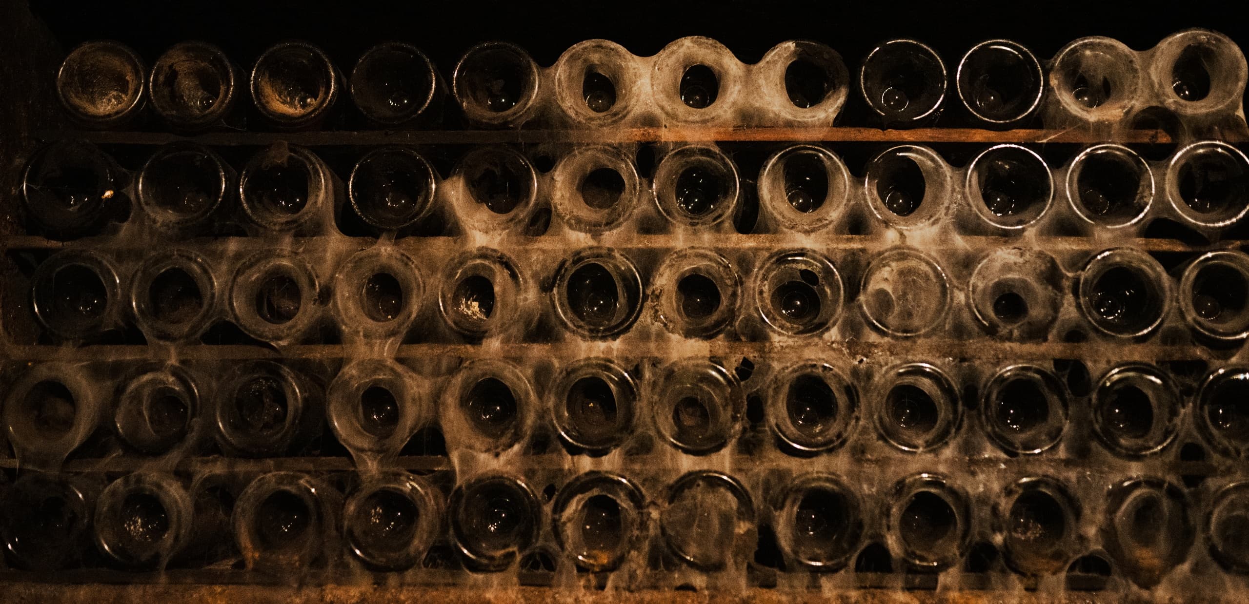 Wine & Cultural Tours with Ikusnahi Tours in Rioja