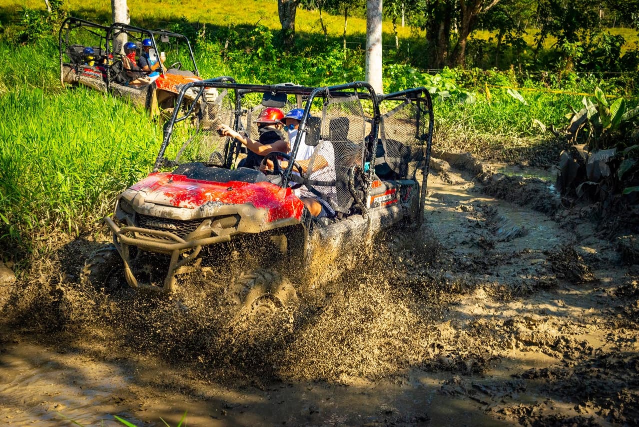 Land Adventures: Jungle Buggies & Monkeyland in La Romana