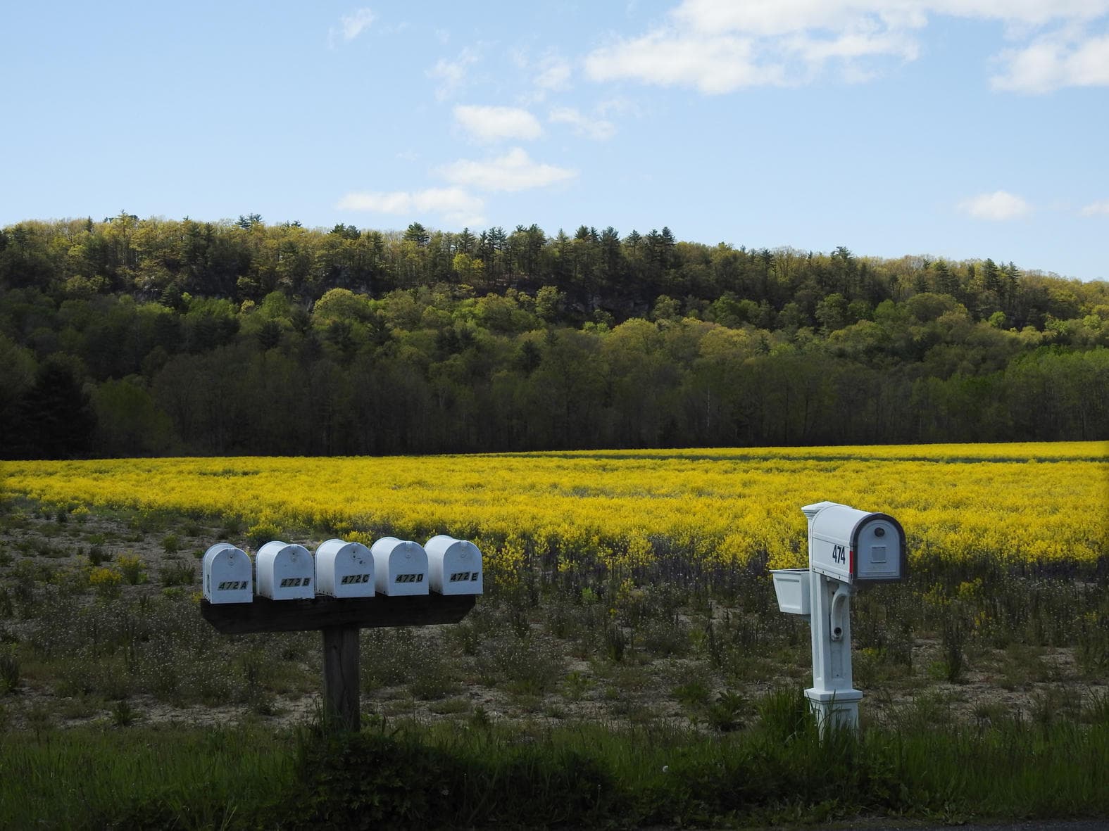 Explore Hudson Valley Farms & Lifestyle: New Paltz Agricultural Tour and Nature Experience