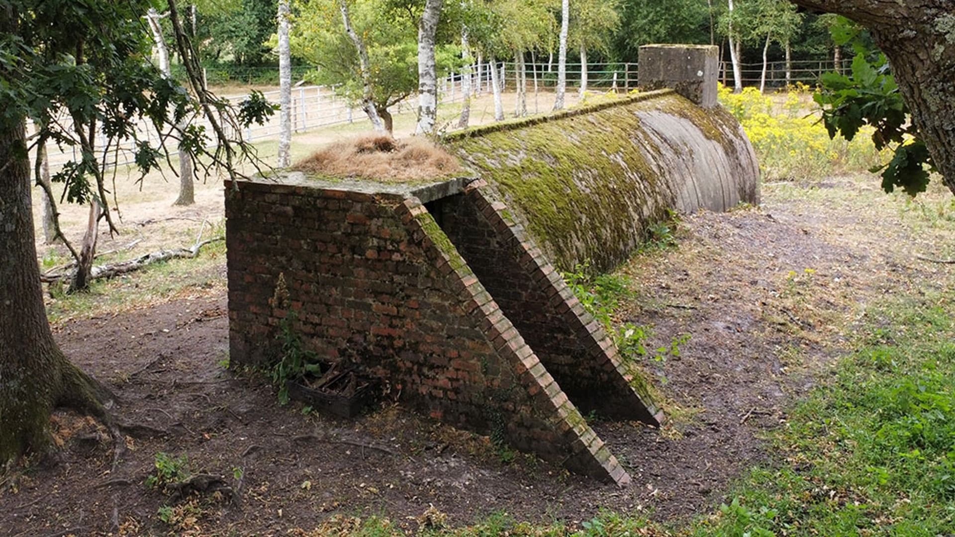 WWII Secrets of RAF Beaulieu: Roundhill History Walk in the New Forest photo 3