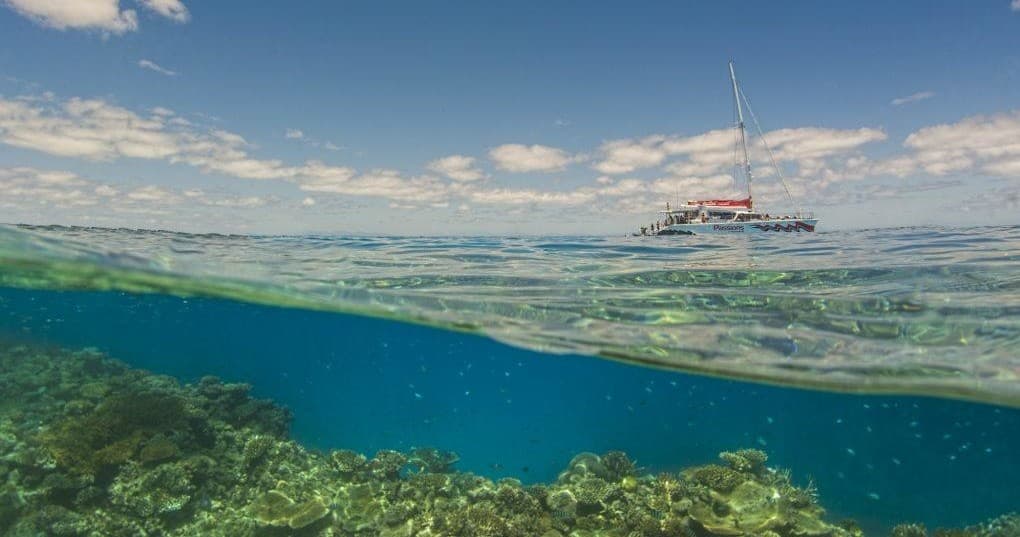 Split underwater and surface reef shot with tour catamaran