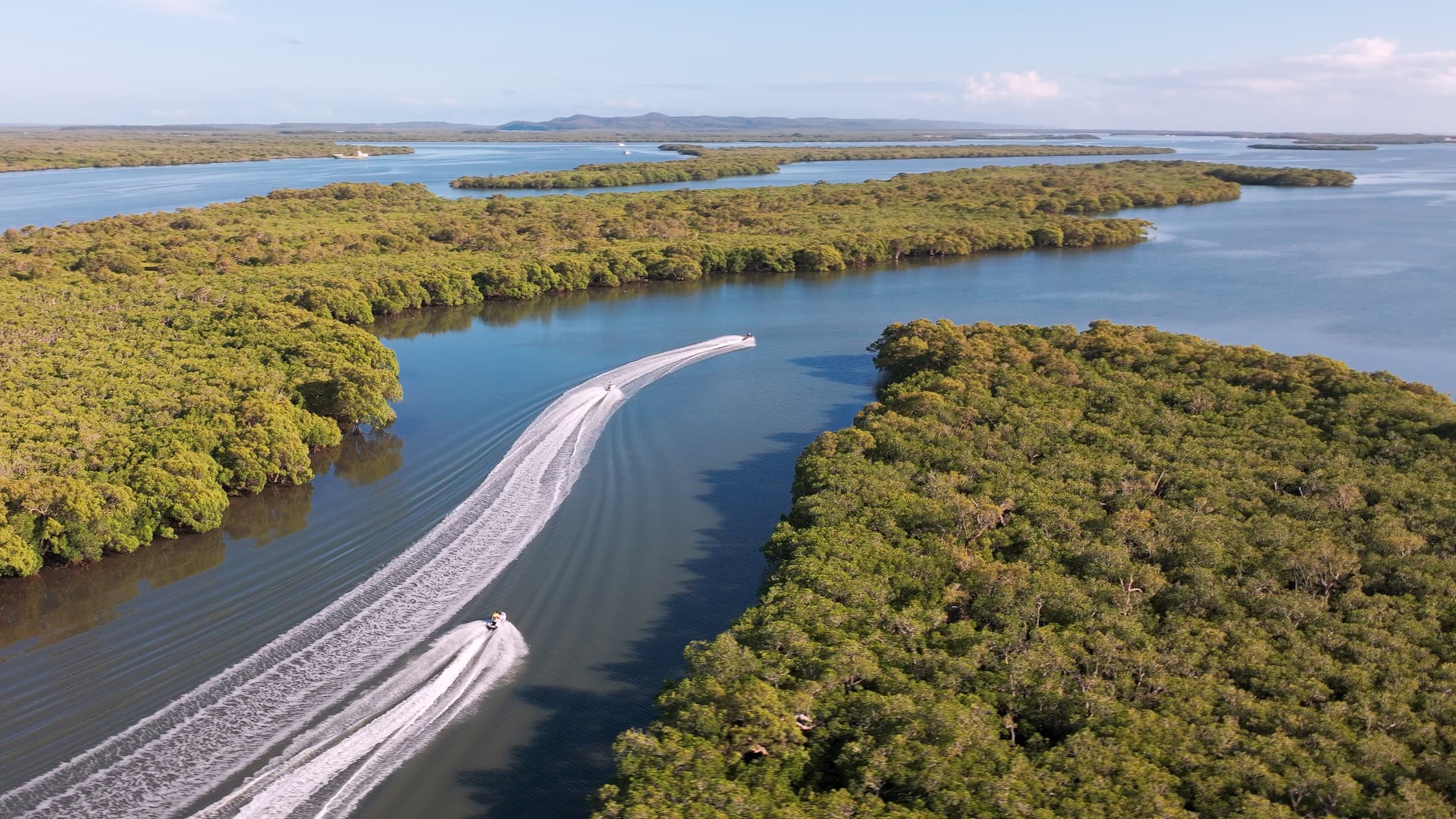 Gold Coast Mangrove Jetski Safari from Sanctuary Cove photo 3