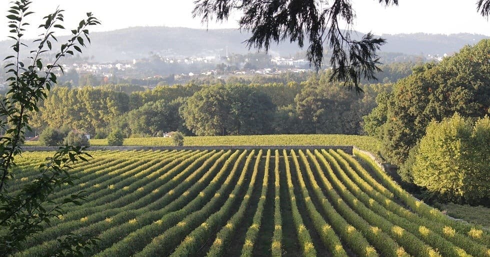 Land Adventures & Wine Tasting at Rota do Vinho Verde