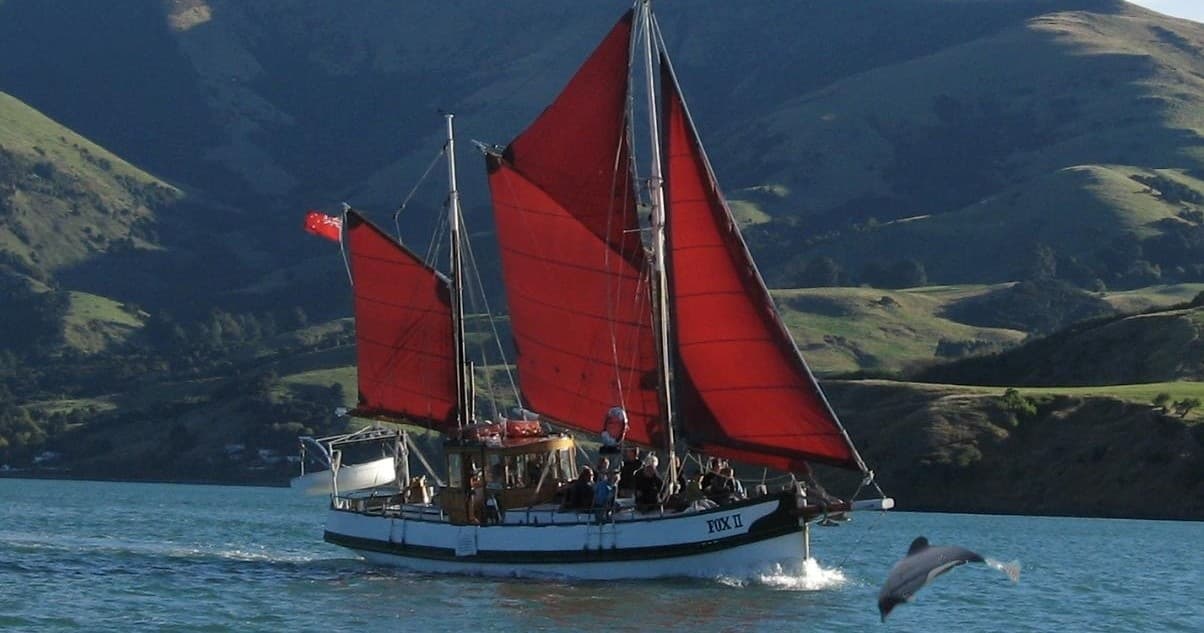 Experience Akaroa’s Pacific Ocean Wildlife on the Fox II Sailing Adventure
