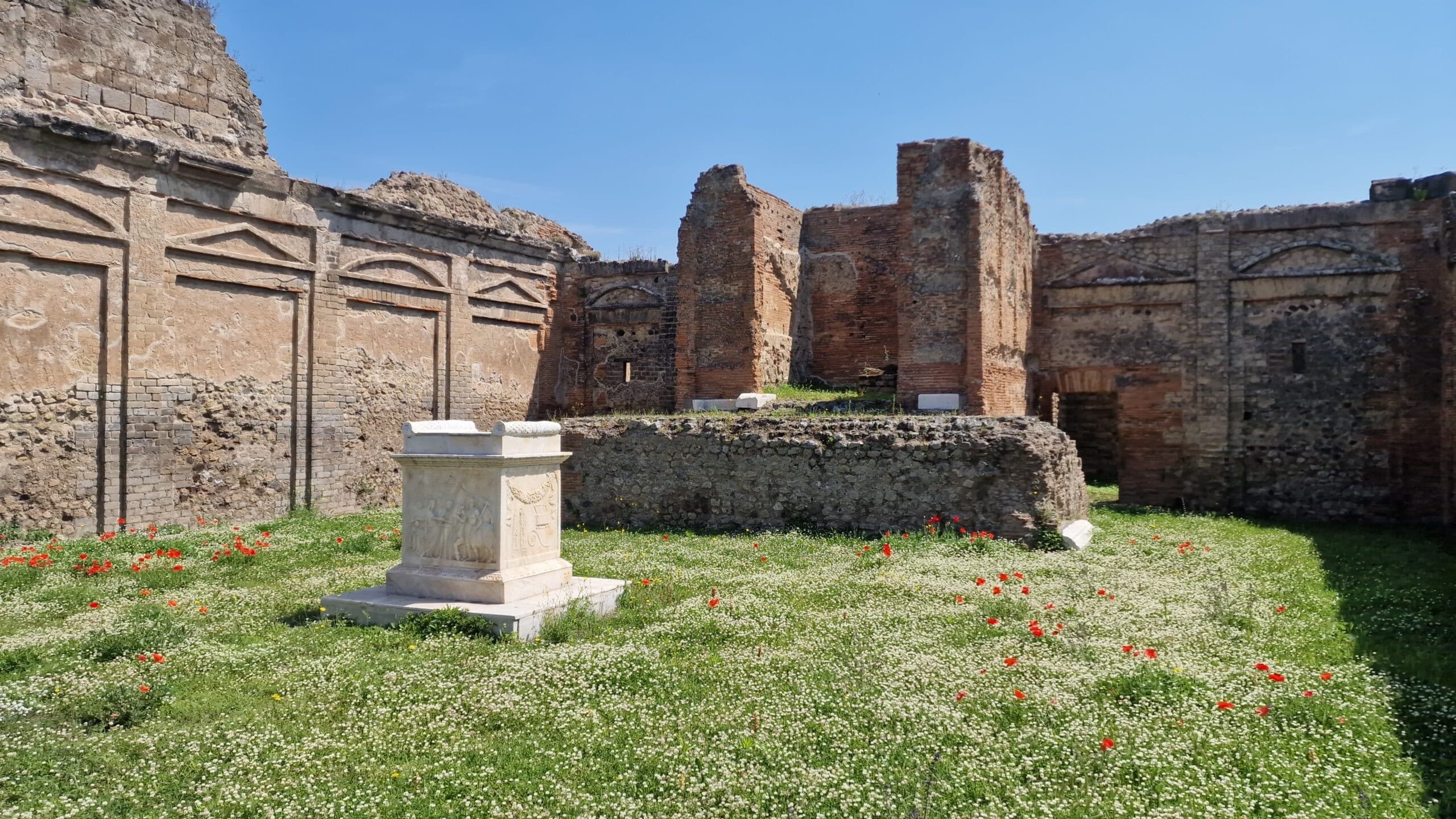 Exploring Pompeii, Herculaneum and Paestum: Full-Day Private Tour from Rome