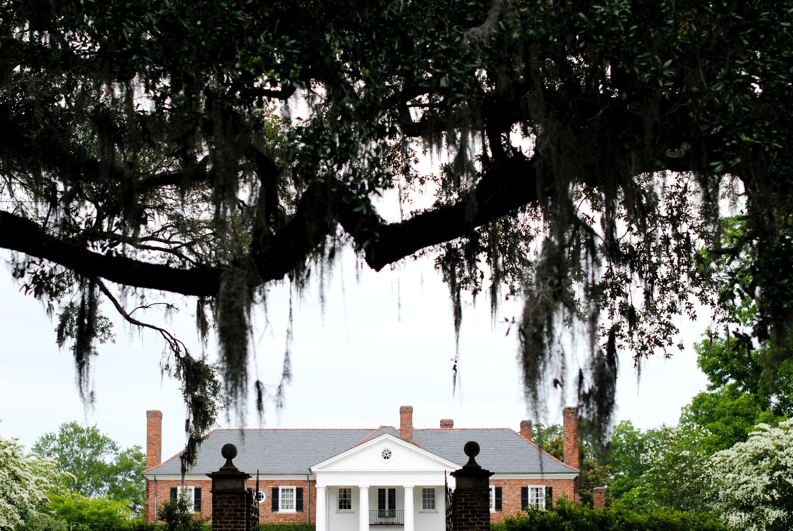 Charleston Style VIP Tour with DTours: History & Culture Unveiled
