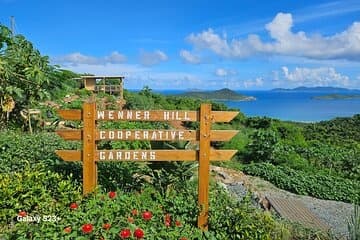 Island Eco Farm Tour & Sapphire Beach with Great Exploration Tours
