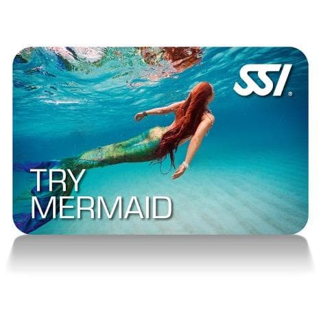 Experience Mermaiding in Crystal River: Swim Like a Mermaid for a Day