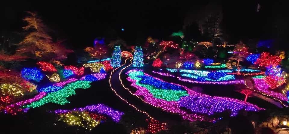 Holiday Light Tour in Victoria with Surfside Adventure Tours