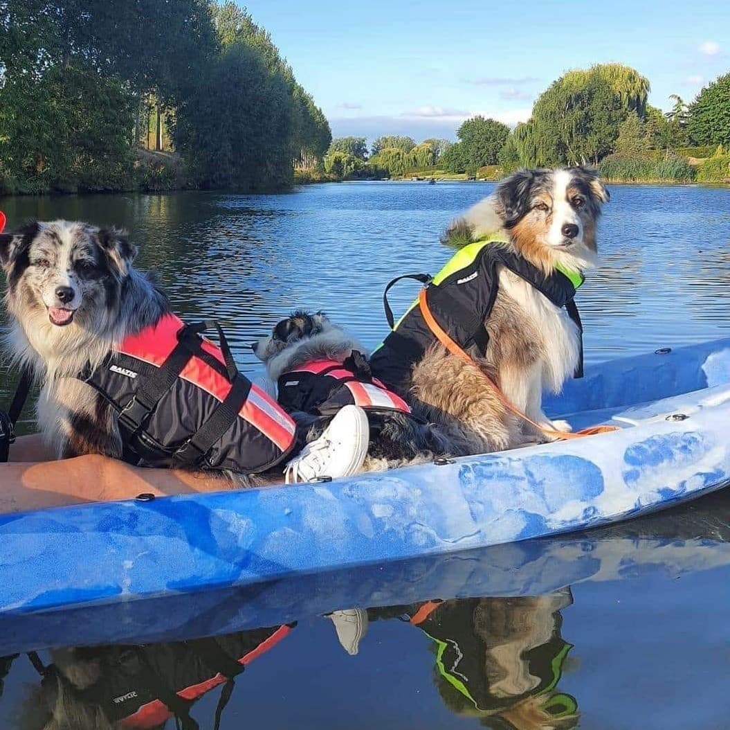 Stand Up Paddle at Leie Adventures in Deinze