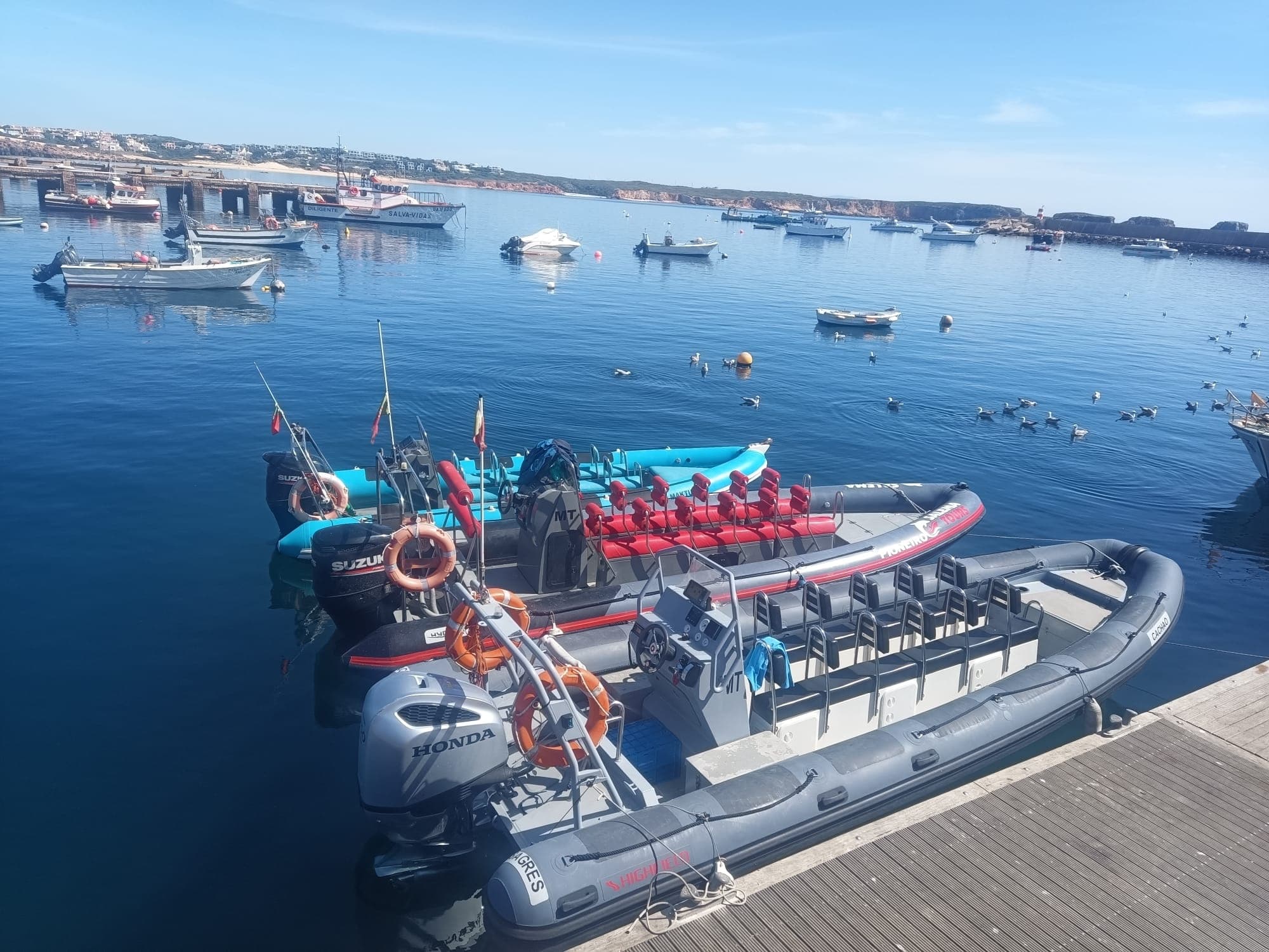 Private Boat Rentals for Groups with Cape Cruiser in Sagres