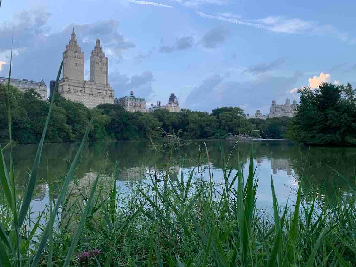 Pedal Central Park: 3-Hour Guided Bike Tour of NYC's Iconic Greenspace photo 3