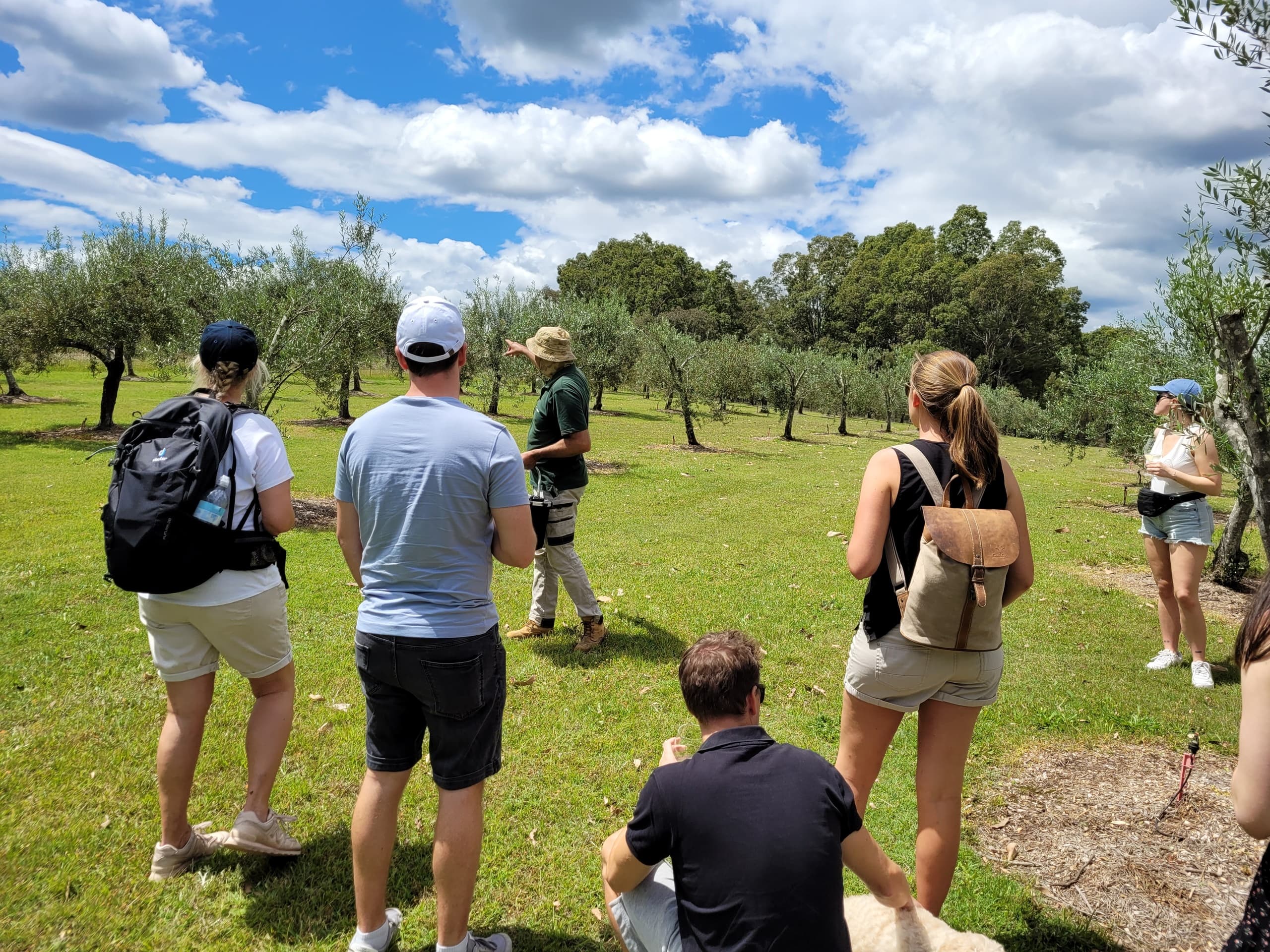 Olive Grove Tour & Tasting at Hunter Gleann