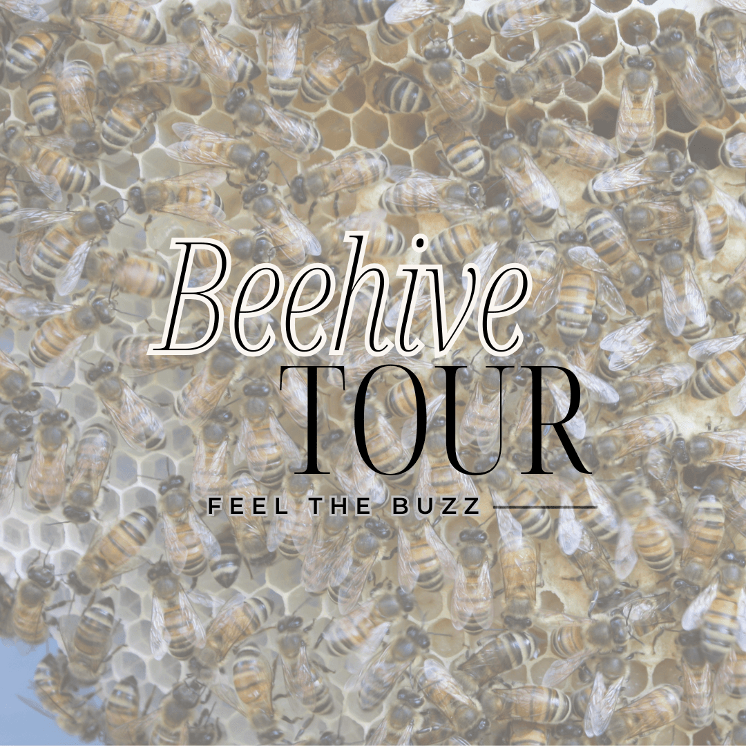 Private Beehive Tour at Triskelee Farm, West Linn OR