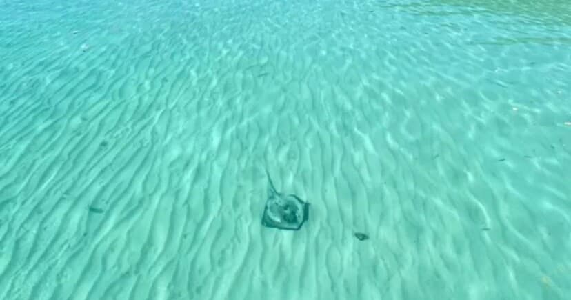 Beach Charters & Adventure with AquaVida Charters