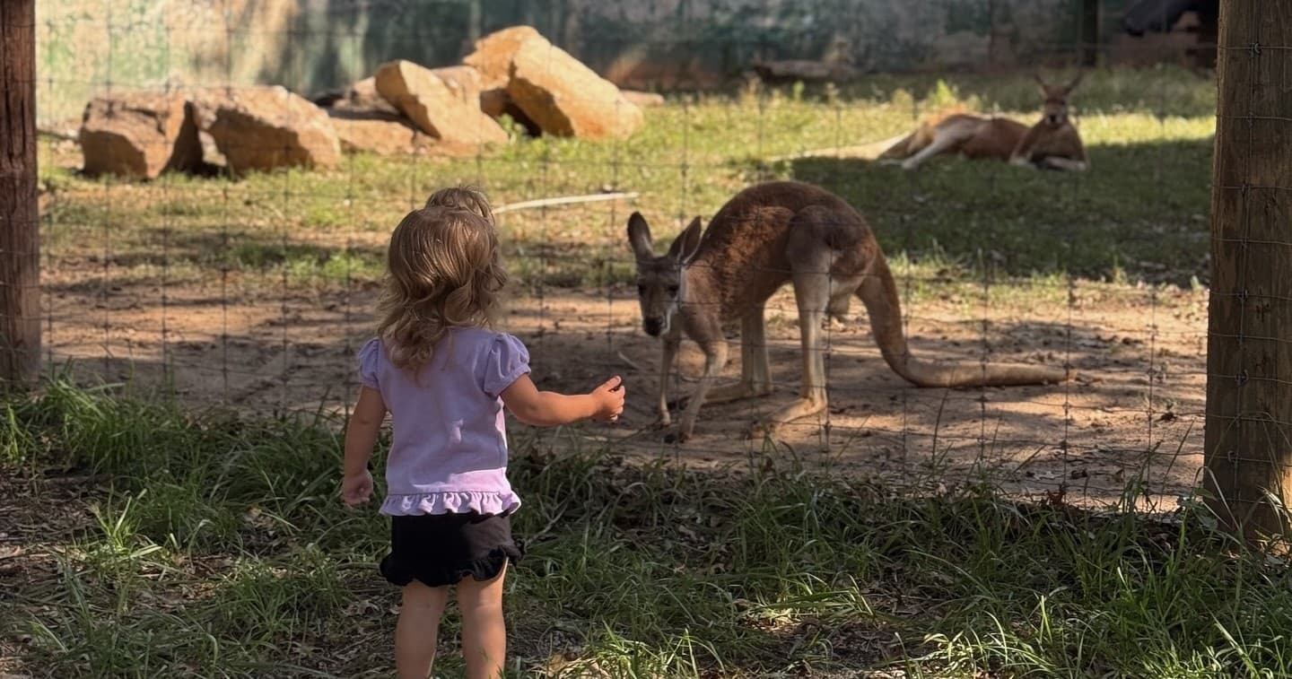 Private Animal Encounter at Nature Nook Retreats: Meet Capybaras, Fennec Foxes & Baby Kangaroos in Wellford