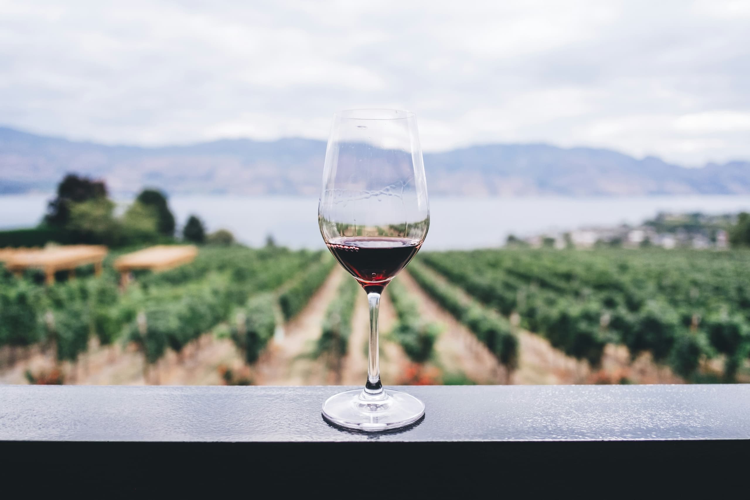 Single wine glass with vineyard vista in soft focus background