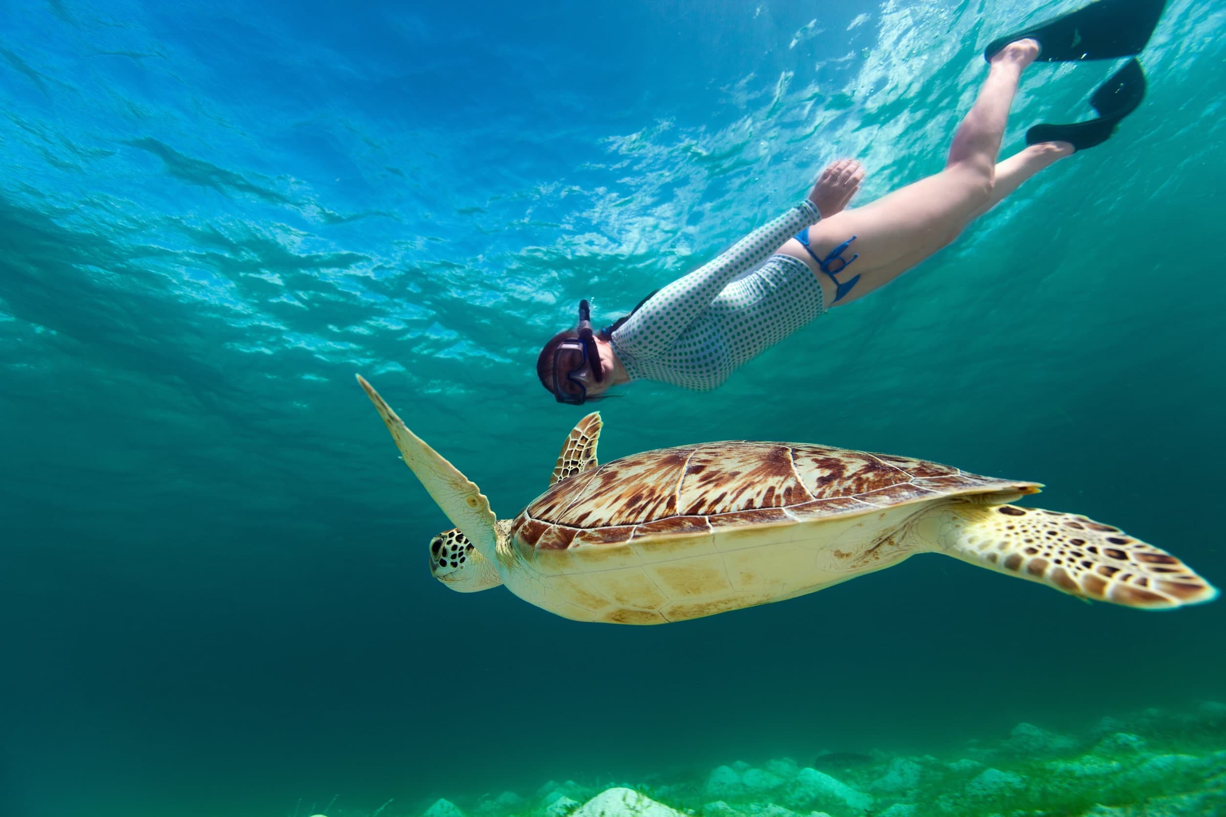 Snorkel Gear Rental in St. Thomas, U.S. Virgin Islands
