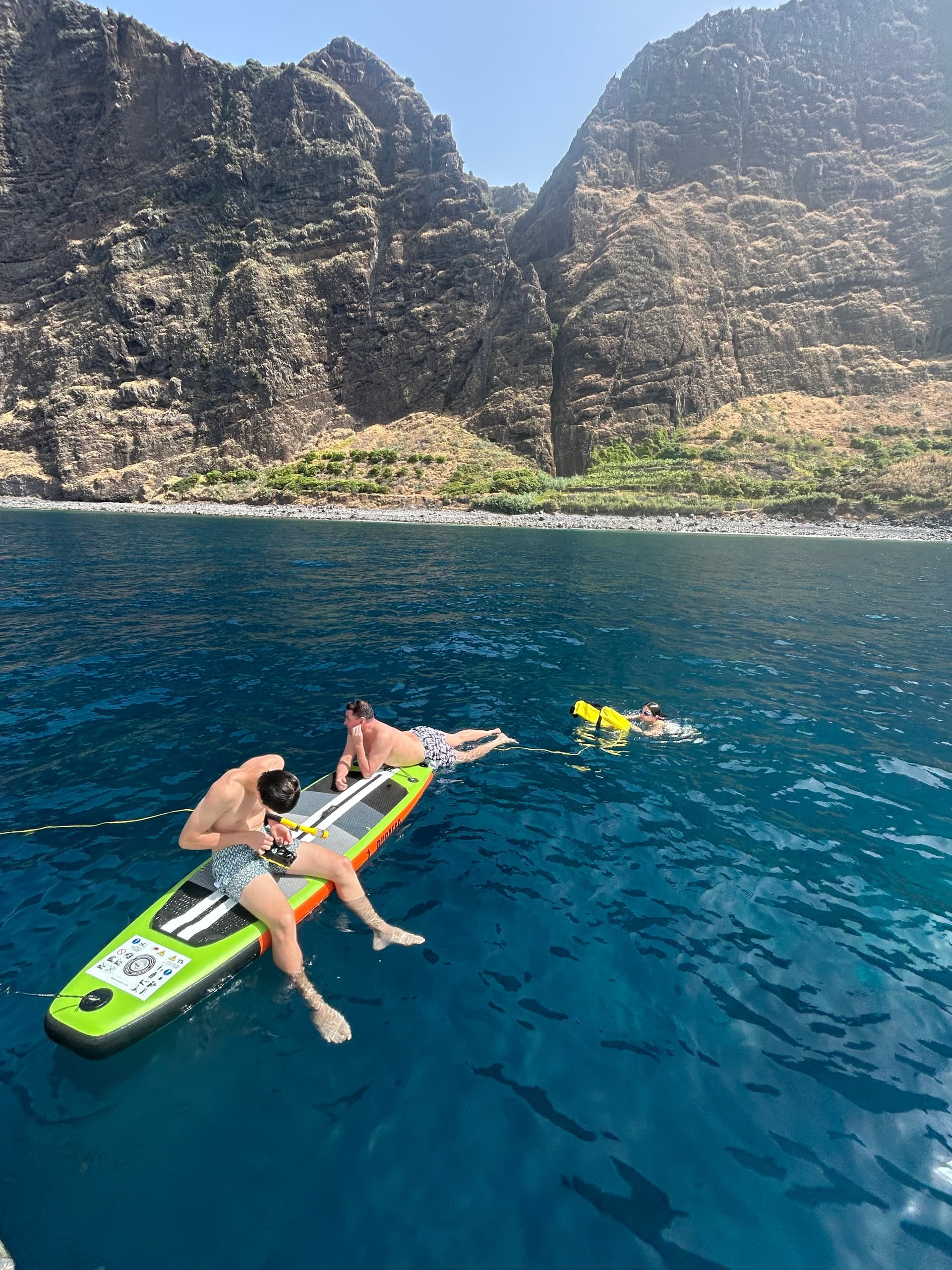 Private Morning Cruise: Madeira Dolphin & Snorkel Charter from Funchal and Calheta photo 4